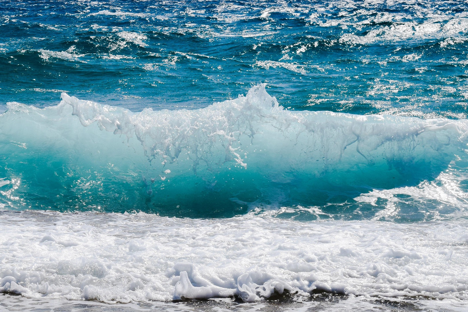 cuidar el mar